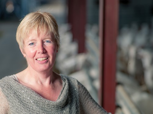Jeannette van de Ven